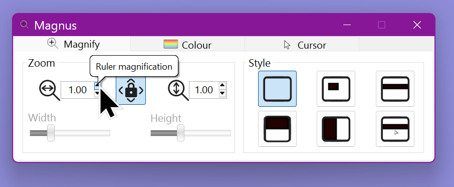 Magnification settings panel